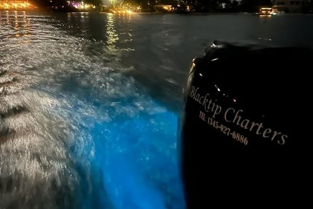 private-bioluminescence-tour-in-grand-cayman_1